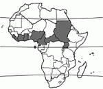 Image result for Acacia kamerunensis