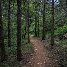 Olathe's Cedar Niles Park offers a 4-mile out-and-back that can begin at  one of three trailheads. The trail winds through rolling hills, forest and  prairie. There are also multiple bridged creek crossings.