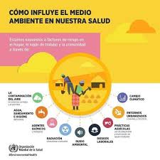 El Medio Ambiente Google Search Environmental Health Public Health Quotes Social Determinants Of Health