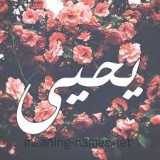 شعر اسم يحيى اشعار لاسم يحيى 2021 قصائد شعر باسم يحيى صقور الإبدآع