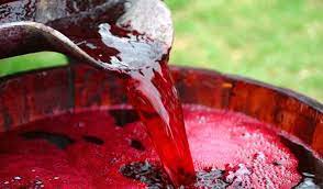 Il vino, come si sa, può essere fatto con qualsiasi frutta, anche se qualcuno preferisce l'uva. Come Fare Un Buon Vino Tutto In 1