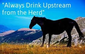 Wild West Wednesday Quotes Horses Animal Photography Animals Friends