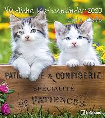 Cats & kittens 2020 russian wall calendar by artist vasya lozhkin василий ложкин. 4002725966162 Cute Cats 2020 Wall Calendar Abebooks Teneues Calendars Stationery
