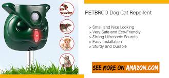 Buying guide for best cat repellents key considerations cat repellent features cat repellents prices tips faq. Best Ultrasonic Cat Repellent Reviews 2020 Consumer Guides