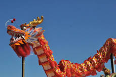 Dragon Boat Festival