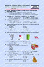 Download Soal Tematik Kelas 4 Tema 7 Subtema 2 Kurikulum 2013 Edisi Revisi Terbaru Dunia Edukasi