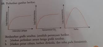 Berdasarkan Grafik Tersebut Jawablah Pertanyaan Berikut A Jelaskan Perbedaan Antara Ketiga Grafik Brainly Co Id