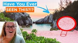 Maybe you would like to learn more about one of these? Finding An Unbelievable Pink Sand Beach Bermuda Horseshoe Bay Bermuda Youtube