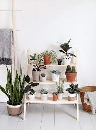 Below are 15+ creative diy indoor plant wall projects. Alice And Loisfavorite Diy Plant Projects Alice And Lois