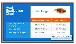 What Temperature Kills Bed Bugs Wyndcutter Com