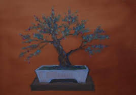 Shelter from prevailing winds is also key; Bonsai Fruit Trees Tips For Planting Growing Basmati