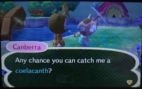 In Your Dreams Canberra Animalcrossing