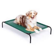 Maybe you would like to learn more about one of these? Brandine Per Cani Di Taglia Grande Con Doghe 48 Migliore Brandina Per Cane Taglia Grande Nel 2021 Dopo 50 Ore Di Ricerca Ad Esempio Per Cani Di Piccola Taglia Potresti
