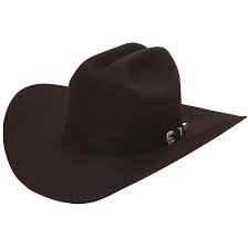 6x Stetson Skyline Hat Stetson Felt Hat Chocolate Skyline Stetson Hat Yeehawcowboy