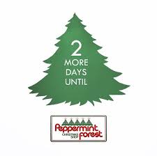 It employs 1 employees and is generating approximately $44,000.00 in annual revenue. Peppermint Forest Christmas Shop Peppermntforest Profile Pinterest