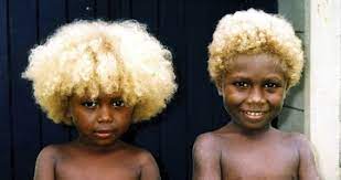 As a geneticist on the beach watching the kids playing, you count up. Melanesians Meet The World S Only Natural Black Blondes Pulse Nigeria