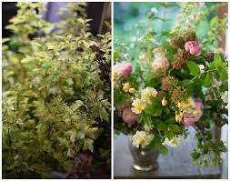 That's why i put together this list of fillers and greens that you can grow yourself. Flower Focus Favorite Foliages And Fillers Floret Flowers