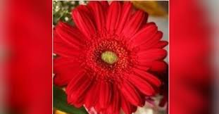 Glen C. Wagner Obituary