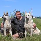 lajki gorod rechka poisk obyavleniya gorod sobaki instagram