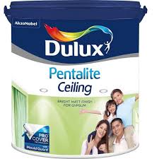 Beli cat plafon triplek online berkualitas dengan harga murah terbaru 2021 di tokopedia! Dulux Pentalite Ceiling White Supermatt 5 Kg Cat Plafond Shopee Indonesia