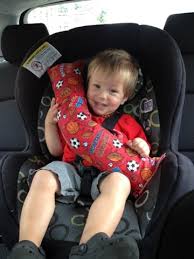Slugs Snails And Puppy Dog Tails August 2012 Seat Belt Pillow Baby Sewing Kids Pillows