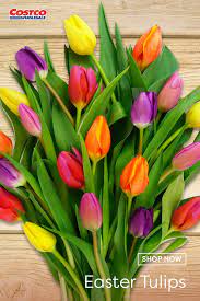 Tulips Tulips Summer Wedding Decorations Tulip Centerpiece