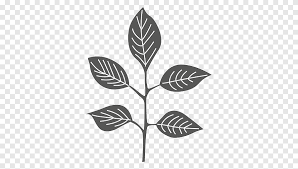 Perancangan strategik/ pelan tindakan sekolah. Siluet Daun Dihiasi Daun Mangga Cabang Monokrom Png Pngegg