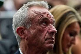 LOCAL ROUNDUP: Dixon baseball tops Stillman in BNC clash