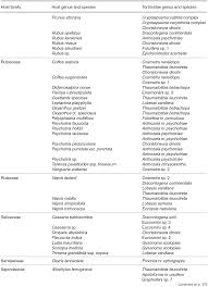 Image result for Polysphaeria multiflora