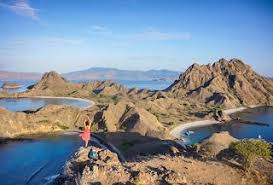 Open Trip Labuan Bajo Komodo Taman Nasional Komodo Komodo Labuan