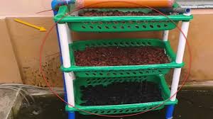 This Is What How I Made My Diy Bakki Filter You Need To Know Bakki Koipond Koi Fish Pond Shower Filter Pond Filters