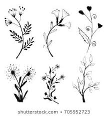 Black And White Flower Outline Images Collection Of Hand Drawn Flowers And Plants Monochrome Vector Illustrations In Sketch Style Vintage Flowers Flower Outline Hand Drawn Flowers