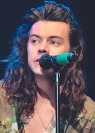Harry styles is known for a lot of things: Harry Styles Long Hair On Tumblr