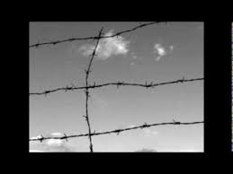 31 marzo 2010 cantarevolare francesco guccini. Auschwitz Francesco Guccini Accordi E Testo