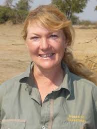 Image result for Ochna katangensis