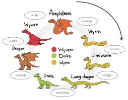 Some Explanations Dragon Drawing Types Of Dragons Creature Drawings
