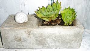 Das wird es euch später leichter machen, den betonkübel aus der form zu lösen. Diy Wie Man Torf Beton Hypertufa Herstellt