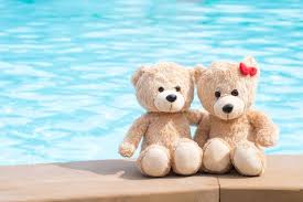 45 Best Teddy Bear Captions For Instagram