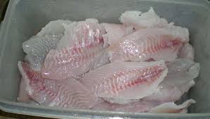 How to fillet a redfish. How To Fillet A Fish Bassgrab