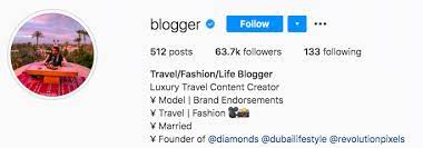 Your instagram bio is your business card, portfolio, and website home page all wrapped up into one. 17 Instagram Bio Ideas How To Create Your Own Templates