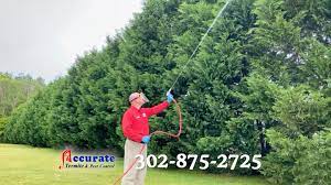 Accurate pest control, has been an industry leader in residential pest control in baltimore and dc metro for more than half a century. Tree Health Bagworm Treatment Dover De Accurate Termite Pest Control