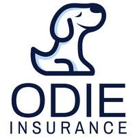 Take your pet to the vet. Odie Pet Insurance Linkedin