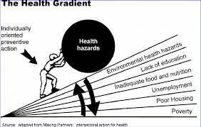 Your health is more important than anything else. Social And Environmental Determinants Of Health 21 Download Scientific Diagram