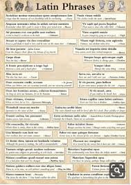 Pin By Lina Francisque On Journal Latin Phrase Tattoos Latin Phrases Phrase Tattoos
