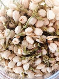 Jasmine Flower Dried Flowers Jasmine Flower Jasmine Plant