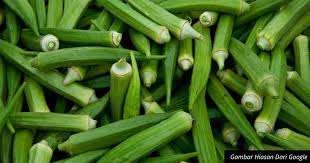 Kacang kuda kukus yang panas memang sedap dimakan buat kudapan sepanjang perjalanan pulang ke rumah. Petua Kurangkan Kolestrol Hanya Dengan Minum Air Rendaman Kacang Bendi Impiana