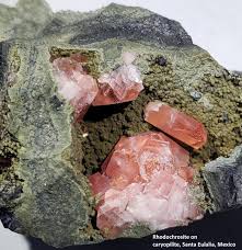 Image result for Eulalia