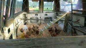 chicken coop van our very own coop deville chicken coop chickens animals