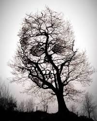 Pin By Gavin Mckay On Ink Haunted Images Skull Art Skull