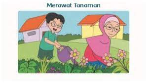 Kunci Jawaban Tema 7 Kelas 1 Sd Halaman 91 92 93 94 95 96 97 Subtema 3 Tanaman Di Sekitarku Tribunnews Com Mobile